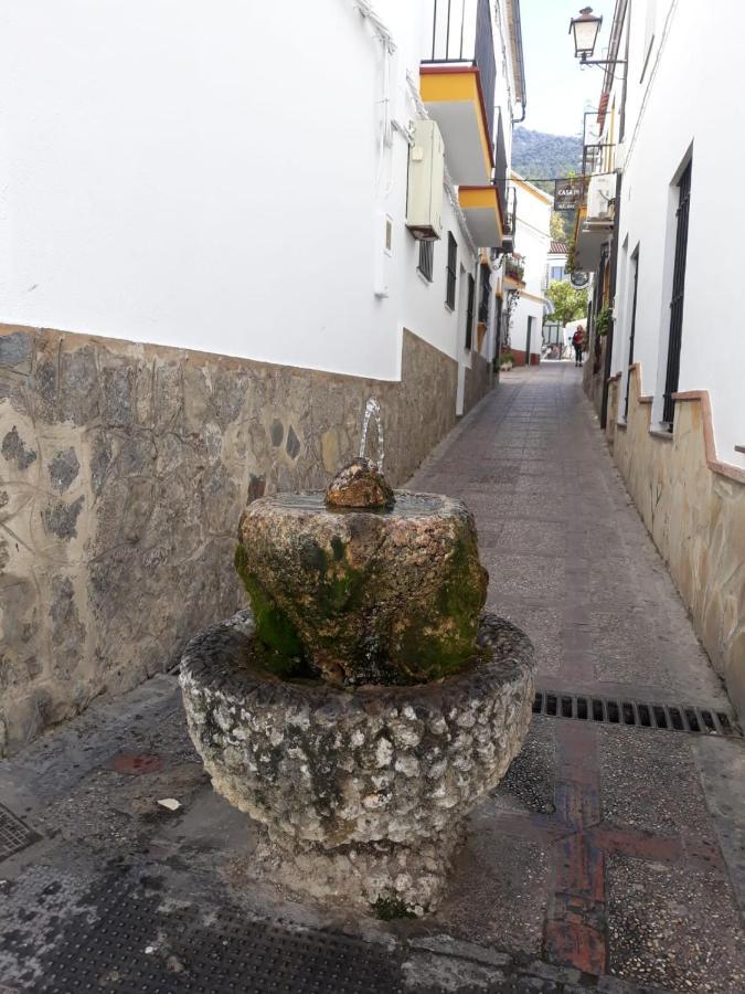 Apartamento Casa Romero エル・ボスケ エクステリア 写真